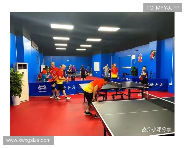 深圳乒乓球队区域防守革新探索与实践的深度剖析与启示